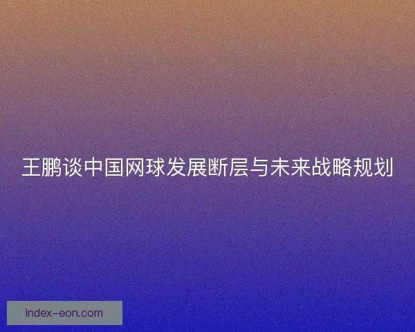 王鹏谈中国网球发展断层与未来战略规划