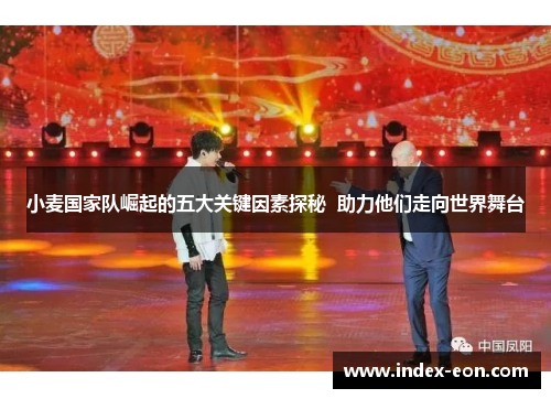 小麦国家队崛起的五大关键因素探秘  助力他们走向世界舞台